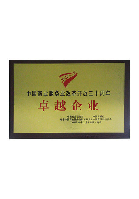 2008年中國商業服務業改革開放三十周年卓越企業